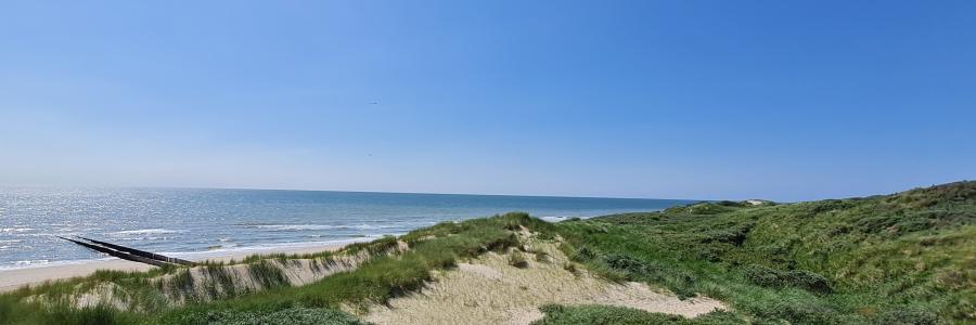 Duinen