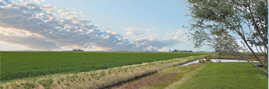 polder