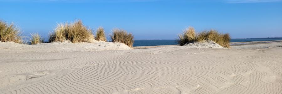 duinen