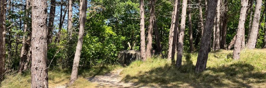 bunkers