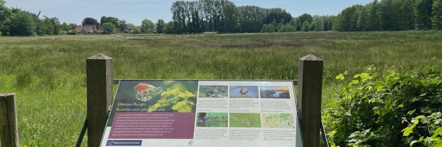 Burgh Haamstede