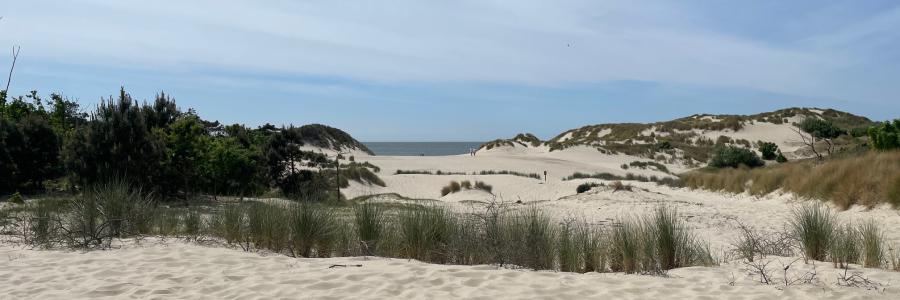 Strand en duinen