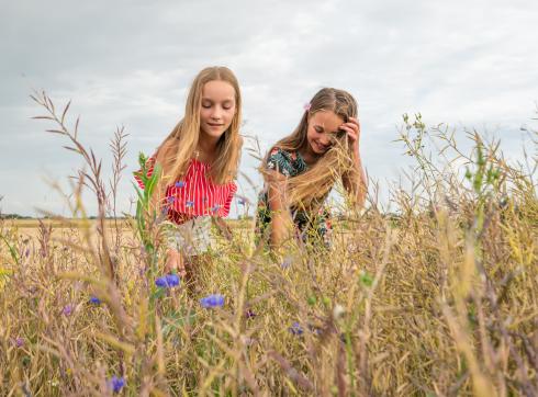 bloemen plukken