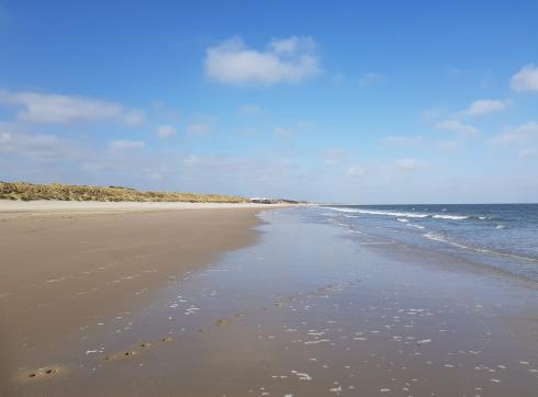 strand
