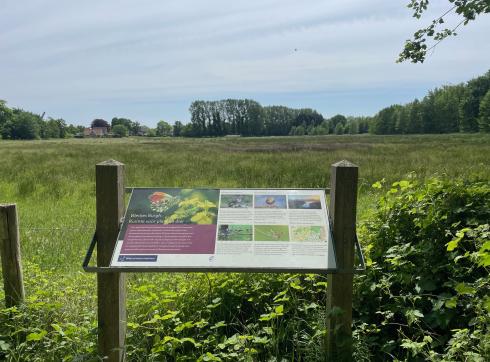 Burgh Haamstede