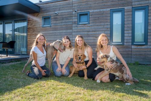 Hond op vakantie